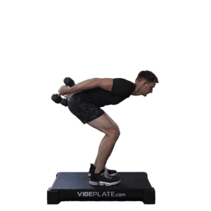 VibePlate 2440