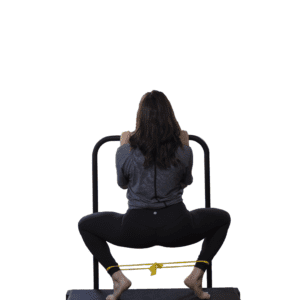 VibePlate Balance Bar
