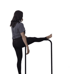 VibePlate Balance Bar