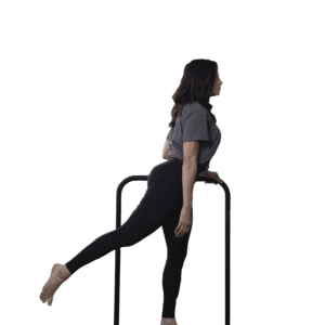 VibePlate Balance Bar