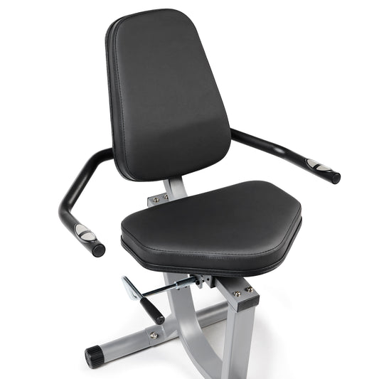 Performance Smart Recumbent Bike